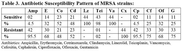 Characterization of Methicillin resistant Staphylococcus aureus strains from clinical isolates in a tertiary care hospital of south India