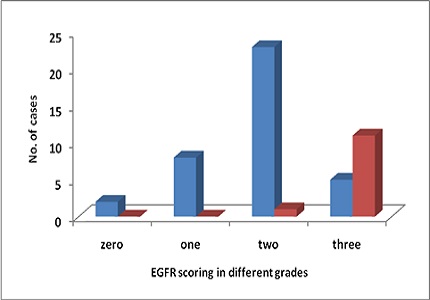 EGFR scoring in head and neck squamous cell carcinoma and its association with clinicopathological variables